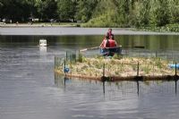 Une île flottante artificielle pour la lutte aux algues bleues au lac d’Argent de Dudswell !